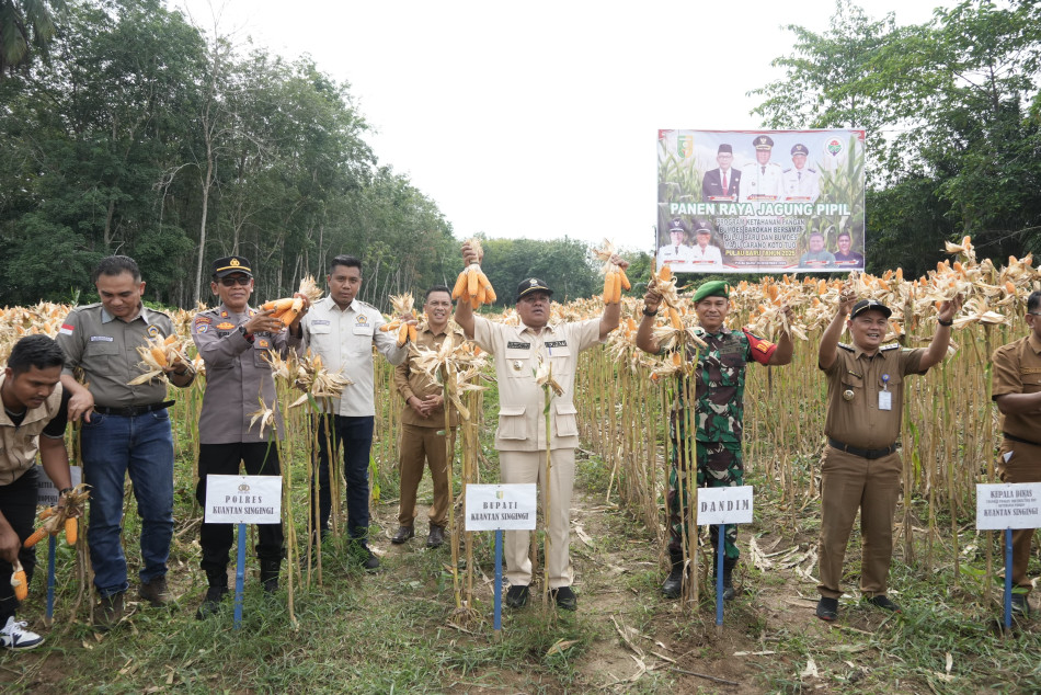 Hadiri Panen Raya Jagung Pipil, Bupati : Panen Raya merupakan Bagian Upaya Pemerintah Daerah Memperkuat Ketahanan Pangan